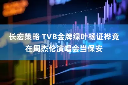 长宏策略 TVB金牌绿叶杨证桦竟在周杰伦演唱会当保安