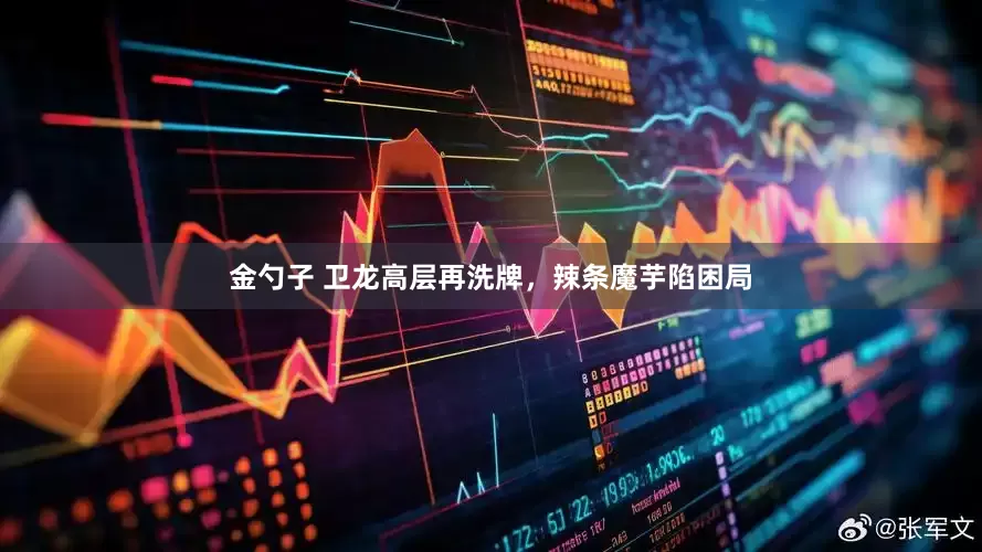 金勺子 卫龙高层再洗牌，辣条魔芋陷困局