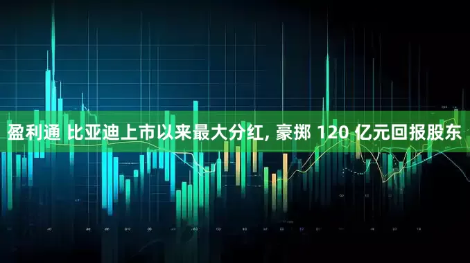 盈利通 比亚迪上市以来最大分红, 豪掷 120 亿元回报股东