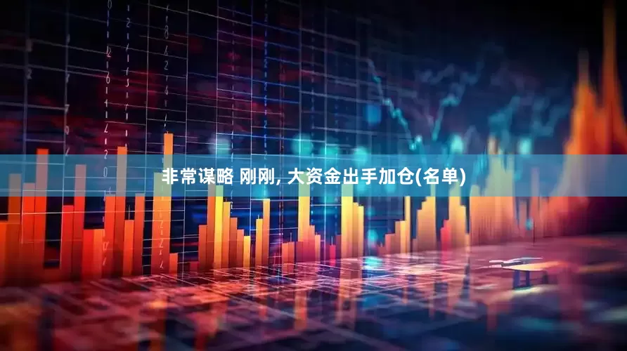 非常谋略 刚刚, 大资金出手加仓(名单)